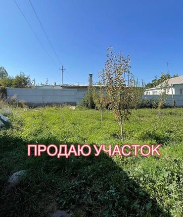 дом на день рождения: 5 соток, Красная книга