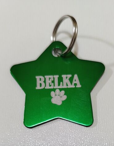 Psi: Personalizovani privesci za pse. Licna karta vasih kuca😃 Ime i broj na lalafo.rs — 14 Psi: Personalizovani privesci za pse. Licna karta vasih kuca😃 Ime i broj — 14