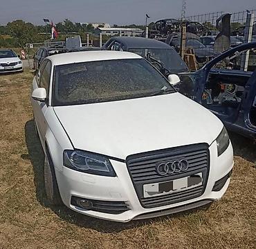 brava gepeka golf 4: 8P KUPE DESNA VRATA ZA AUDI A3 OD 2008. DO 2012. GOD. | AUDI A3 P — 3
