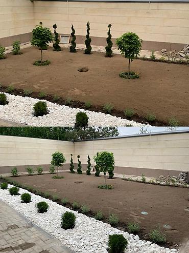 Другие услуги: Мы занимаемся созданием газонов на придомовой территории. Этот процесс — 7