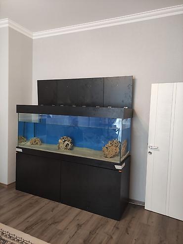 sobo wp 6001: Akvariumların və dolabların hazırlanması üçün müraciət edə bilərsiz — 6
