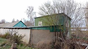 Продажа домов: Продам дом на Иссык Куле с. Покровка,в сторону озера.На теретории — 5