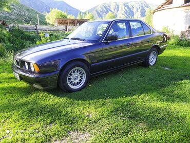 д 245 евро 2: BMW 5 series: 1994 г., 2.5 л, Механика, Бензин, Седан