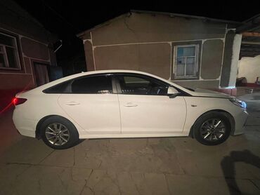 hyundai sonata 2009: Hyundai Sonata: 2019 г., 2 л, Типтроник, Газ, Седан