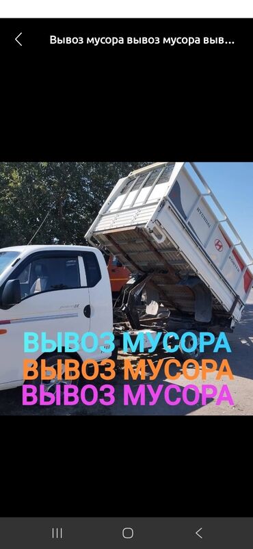 сколько стоит кролик домашний: Вывоз мусора вывоз мусора вывоз мусора вывоз мусора вывоз мусора