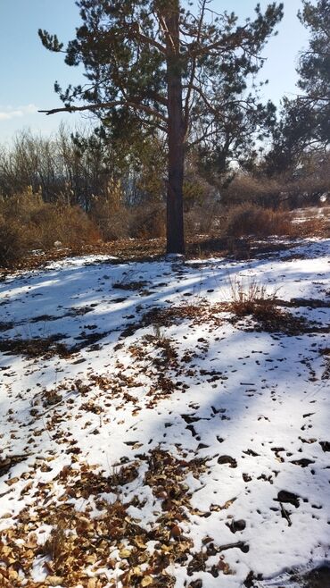 Продажа участков: 9 соток, Для бизнеса, Красная книга at lalafo.kg — 26 Продажа участков: 9 соток, Для бизнеса, Красная книга — 26