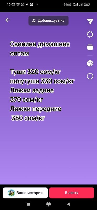 пластиковые бутылки оптом спб бишкек: Домашняя натуральная свинина оптом и в розницу .Сало свежее, соленое