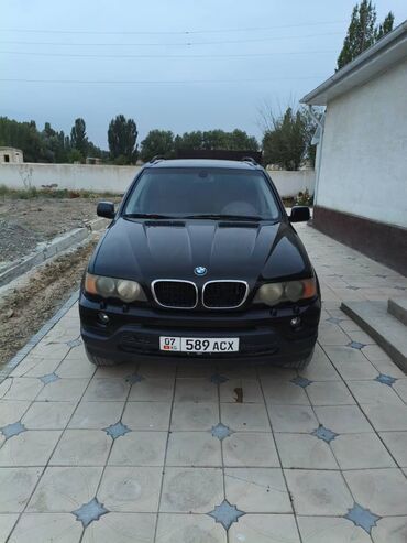 BMW: BMW X5: 2003 г., 3 л, Автомат, Бензин, Внедорожник