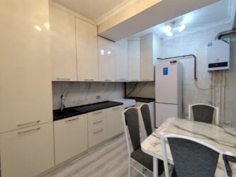 сниму квартиру на долгый срок: 2 бөлмө, Риелтор, Толугу менен эмереги бар