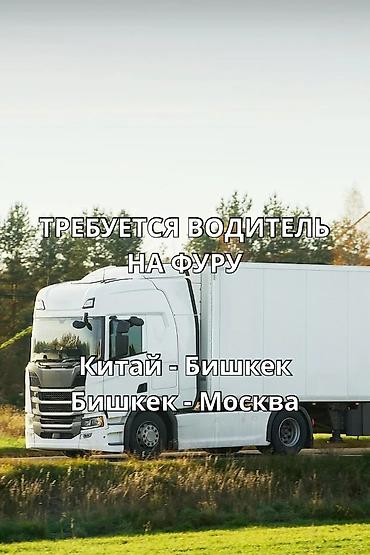 водитель тунгуч: Требуется Водитель грузового транспорта, Категория прав (C1), На фуру, 3-5 лет опыта, Старше 23 лет — 1