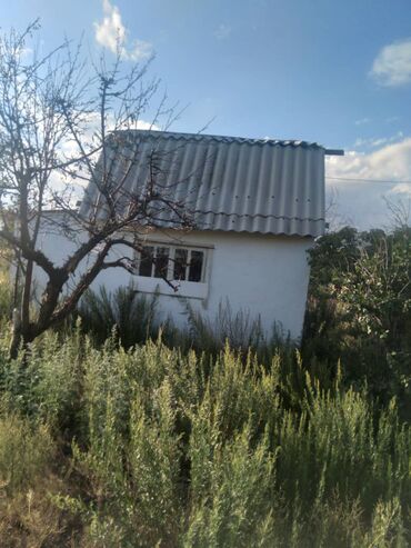 дизель отдых на иссык куле: Квартира, Бостери