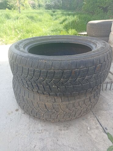 кышкы донголок 14: Шины 225 / 60 / R 18, Зима, Б/у, Пара, Maxxis