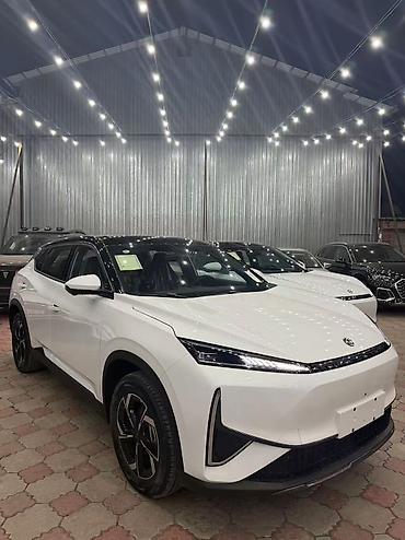 утеплитель радиатора: Dongfeng : 2026 г., Автомат, Электромобиль, Кроссовер — 8