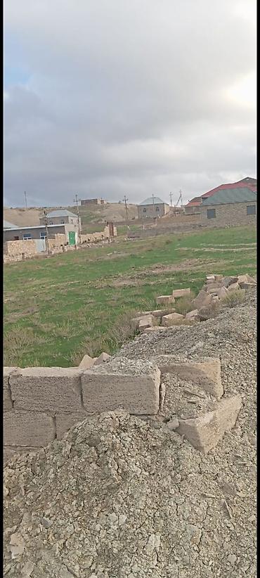 at yali: Tikinti — 4