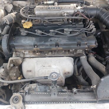 Hyundai: Model: Nissan Almera Tino (station wagon/hatchback) Rəng: Gümüşü — 8