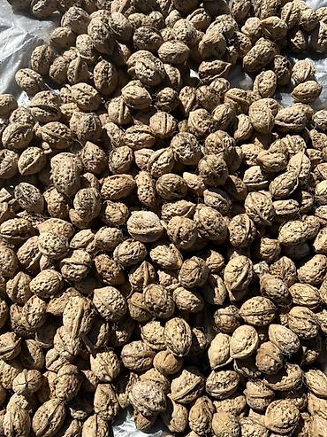 Продаются крупные грецкие орехи
Цена: 1кг- 300 сом
САМОВЫВОЗ
