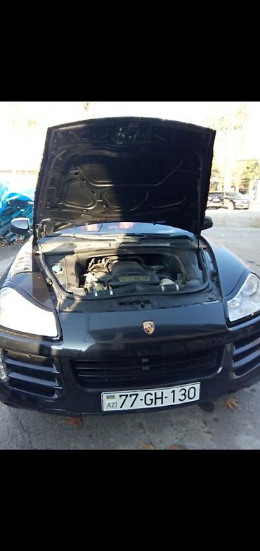 Porsche: Porsche Cayenne: 4.8 l | 2006 il Ofrouder/SUV — 10