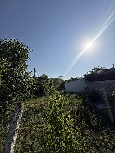 Torpaq sahələrinin satışı: 25 sot, Tikinti, Mülkiyyətçi, Kupça (Çıxarış) — 22