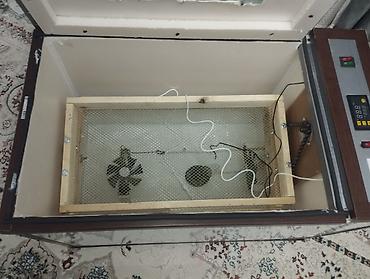 Инкубаторы: Инкубатор лор сатылат жаны колдо жасалган инкубаторлор ишенимдүү жана — 4