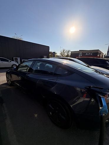 Tesla: Tesla Model 3: 2023 г., Автомат, Электромобиль, Седан — 4