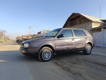 Volkswagen: Volkswagen Golf: 1995 г., 1.6 л, Механика, Бензин, Хэтчбэк — 2
