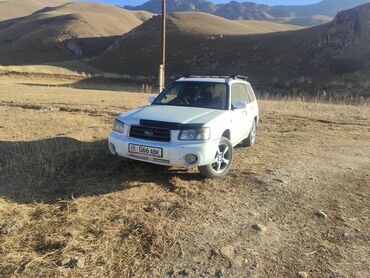 Subaru: Subaru Forester: 2002 г., 2 л, Автомат, Бензин, Универсал — 6