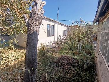 привозной дом: 🏠 ПРОДАЮ или МЕНЯЮ дом с.им. ФРУНЗЕ (совхоз Фрунзе) Просторный — 2