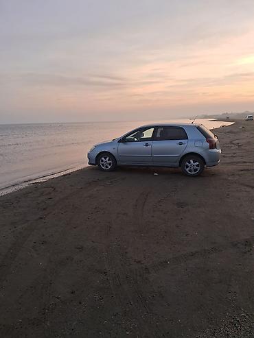 prius 20 kuza disk: Toyota Corolla (hatchback), gümüşü rəng. - Kuzov: 5 qapılı hatchback — 1