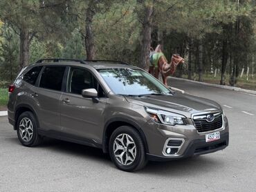 корея машина: Subaru Forester: 2021 г., 2.5 л, Автомат, Бензин, Кроссовер