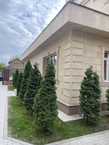 квартира село орто сай: 2 комнаты, 67 м², Элитка, 7 этаж, Евроремонт