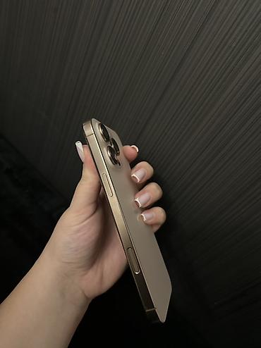 apple qelem: IPhone 16 Pro Max, Desert Titanium — 4