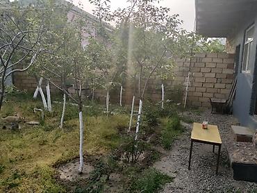 neftçala ev: Sumqayıt, 5000 kv. m, 8 otaq, Hovuzsuz, İnternet, Telefon, Qaz — 6