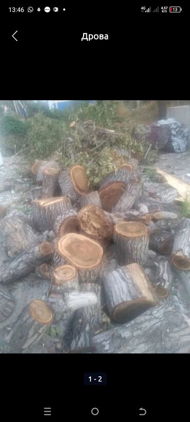 чон арвк: Дрова Карагач