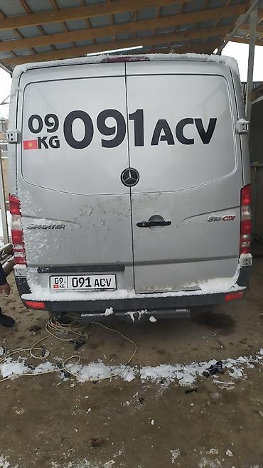 Наклейки и эмблемы: Наклейка для автомобилей любой сложности дублирующие номера для — 6