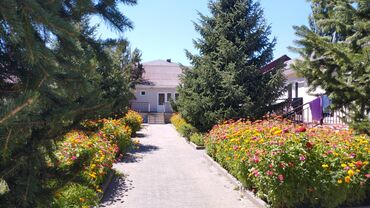 Иссык-Куль 2025: Номер, НЕПТУН Детская площадка, Футбольное поле, Парковка, стоянка — 2