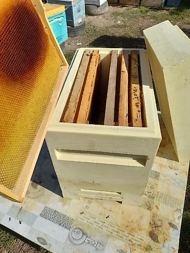 ППУ - пенополиуретан: Полиуретановые ульи для пчеловодства - Материал: литой ППУ — 9