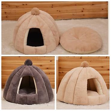 Зоотовары: Продаю новые в отличном качестве лотки крытые и открытые,а так же at lalafo.kg — 2 Зоотовары: Продаю новые в отличном качестве лотки крытые и открытые,а так же — 2