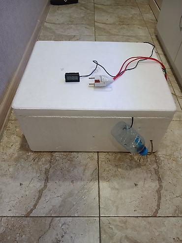 Kənd təssərüfatı avadanlığı: Məhsul: Sadə ev tipli inkubator Salam özüm yığmışam 40 toyuq — 4