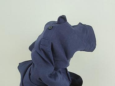 lakier: Livergy, Damska koszulka polo, rozmiar S — 6