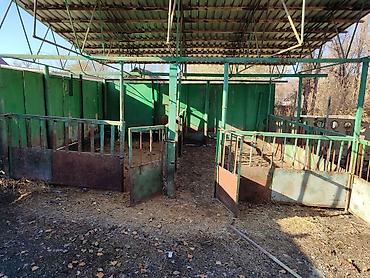 Распашные ворота: Продается дом, в доме четыре комнатыверанда,душ с туалет, есть at lalafo.kg — 29 Распашные ворота: Продается дом, в доме четыре комнатыверанда,душ с туалет, есть — 29