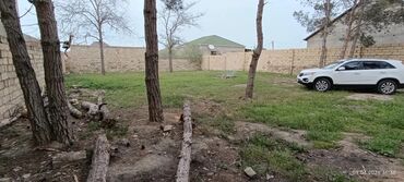 Torpaq sahələrinin satışı: 6 sot, Tikinti, Mülkiyyətçi, Kupça (Çıxarış) — 9