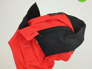 pulland: Koszulka polo dla mężczyzn, rozmiar S — 6