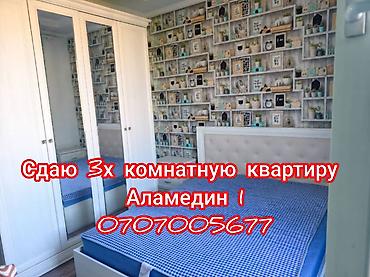 3 бөлмө, Аламедин-1 мкр Жаныбарлары жок