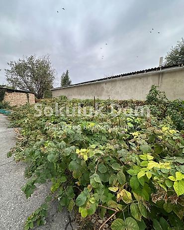 Продажа коттеджей и домов: 🏠Продается дом в г. Шопоков 🟡Комнаты: 4 🟡Участок: 18,42 соток — 6