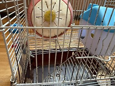 Зоотовары: Hamster üçün tam dəst 2 mərtəbə qəfəs - Metall karkaslı, çıxarılan — 4
