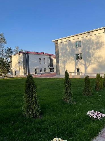 садовники: Газон себебиз, жеткиликтүү жана ыңгайлуу бада ✅ автополив коёбуз🚰 — 5