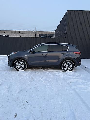 Kia: Kia Sportage: 2018 г., 2.4 л, Автомат, Бензин, Кроссовер — 3