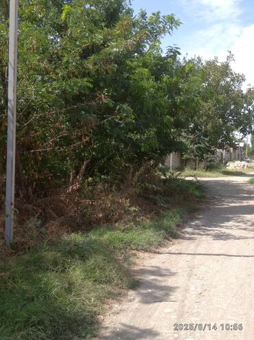 Torpaq sahələrinin satışı: 13 sot, Kənd təsərrüfatı, Barter mümkündür, Kupça (Çıxarış) — 3