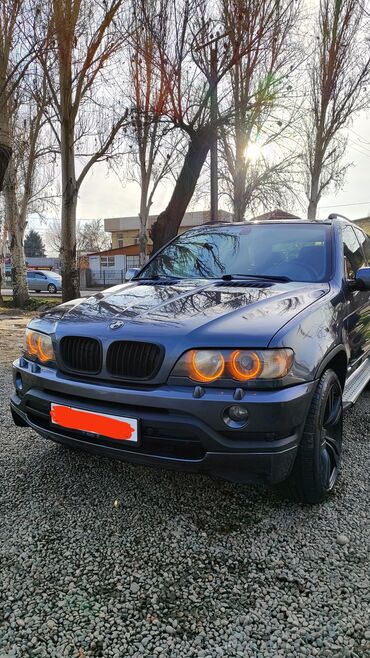 бмв s1: BMW X5: 2003 г., 4.4 л, Типтроник, Газ, Внедорожник