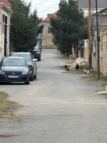 Torpaq sahələrinin satışı: 2 sot, Kənd təsərrüfatı, Mülkiyyətçi, Kupça (Çıxarış) — 16